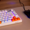 Teclado Tkl Semi Mecânico Gamer Anti Ghosting Led Rgb Abnt Usb Pc Computador Notebook